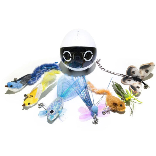 Enabot ROLA Mini / EBO Air 2 Plus Cat Teaser Set